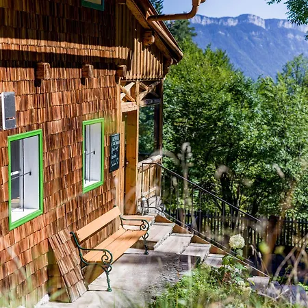 Talsenalm Wald Habitat *