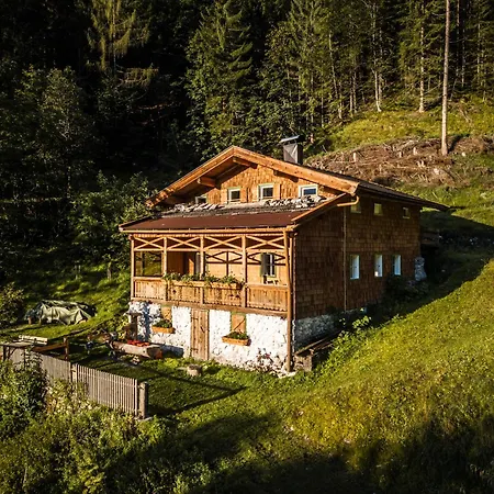 Talsenalm Wald Habitat *