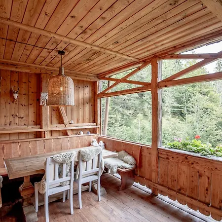 Talsenalm Wald Habitat