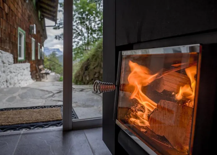 Vakantiehuis Talsenalm Wald Habitat